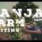 ROASTED AND BAKED | JAMAICA TRAVEL VLOG | GANJA FARM VISITING | ROOTS RASTA DREADLOCKS