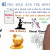The Amazing Sacred Secretion – Christ Within / Face to Face at Peniel (Pineal)
