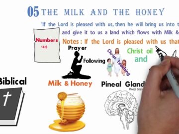The Amazing Sacred Secretion – Christ Within / Face to Face at Peniel (Pineal)