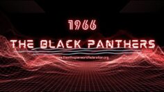 The Ethiopian World Federation tribute to The Black Panther Party 2024