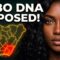 The Igbo Were Never Who We Thought — DNA Reveals Their Hidden American Legacy