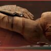 The Largest Discovery At Saqqara: Uncovering The Non-Royal Elite