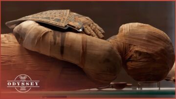 The Largest Discovery At Saqqara: Uncovering The Non-Royal Elite