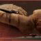 The Largest Discovery At Saqqara: Uncovering The Non-Royal Elite