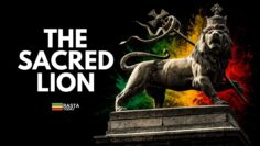 The Lion of Judah: What It Really Means in Rastafari