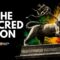 The Lion of Judah: What It Really Means in Rastafari