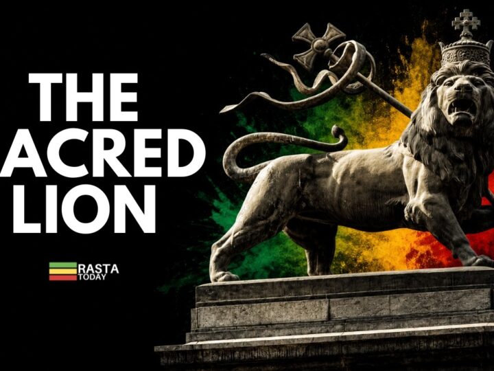 The Lion of Judah: What It Really Means in Rastafari