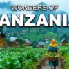 The Wildest Place on Earth? | Tanzania Like You’ve Never Seen in 4K