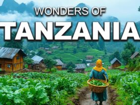 The Wildest Place on Earth? | Tanzania Like You’ve Never Seen in 4K
