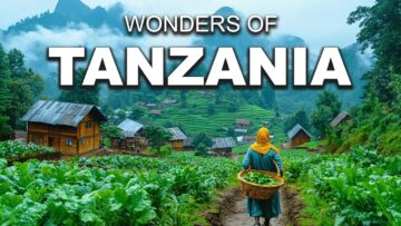 The Wildest Place on Earth? | Tanzania Like You’ve Never Seen in 4K