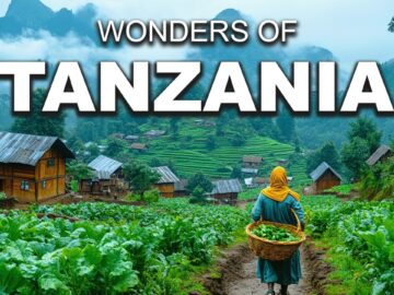 The Wildest Place on Earth? | Tanzania Like You’ve Never Seen in 4K