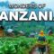 The Wildest Place on Earth? | Tanzania Like You’ve Never Seen in 4K
