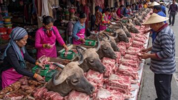 Vietnams Unique Bridge Market – Buffalo Meat and Local Culture