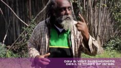 Visit Ethiopia: Holy Land Tour | Shashemene, Footsteps of Our Emperor