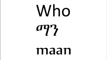 WH questions in Amharic, Ethiopian Language
