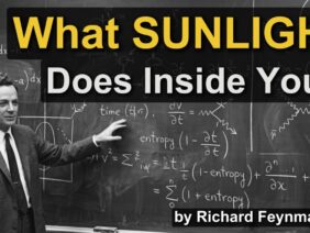 Why Sunlight Is the Most Powerful Drug You Take Every Day