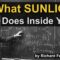 Why Sunlight Is the Most Powerful Drug You Take Every Day