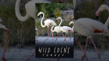 Wild Edens: Turkey