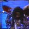 dennis  brown the existance of jah, live 1988
