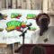 House of Seba – Ras Tafari Indigenous Temple (The Ganja Church) Divine Sunday June 7,2026 full video
