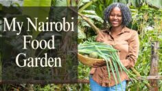 Kitchen Garden Tour 🌿| How I Grow My Family’s Food in Nairobi