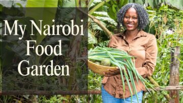 Kitchen Garden Tour 🌿| How I Grow My Family’s Food in Nairobi