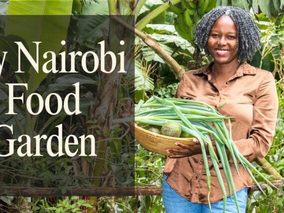 Kitchen Garden Tour 🌿| How I Grow My Family’s Food in Nairobi