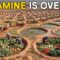 Niger Restored 900,000 Hectares of Dead Desert With Shovels — Half a Million People Now Eat