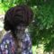 Rastaman Jungle Session
