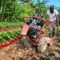 THRIVING After Fired – Man Living Off the Land in the Hills Of St Andrew JAMAICA
