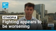 Heavy fighting on multiple fronts between Ethiopian forces and rebel groups • FRANCE 24