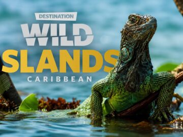 Wild Islands: Caribbean: The Jewel of the Tropics | Free Documentary Nature